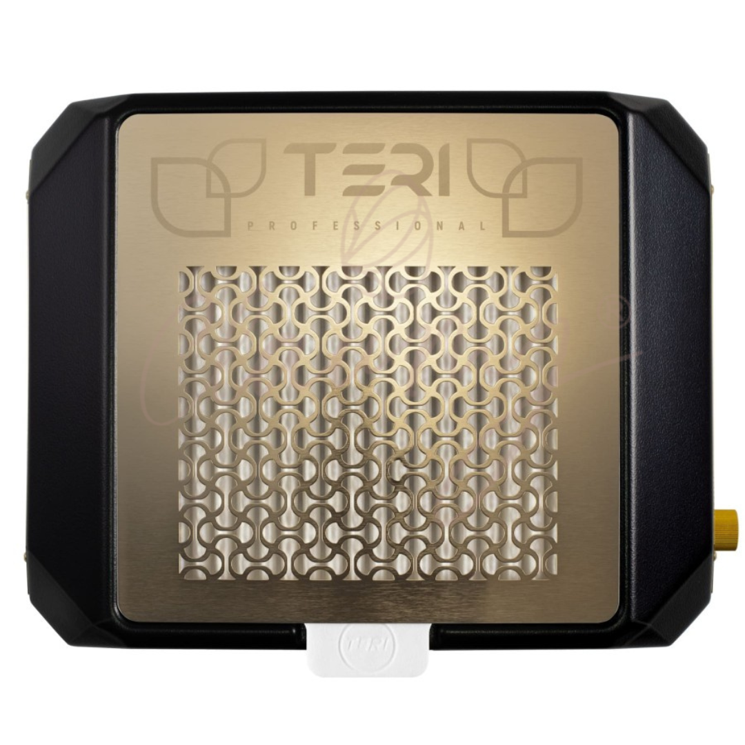 Aspirador Profesional Teri Diamond NEGRO 90W 💨✨NEW