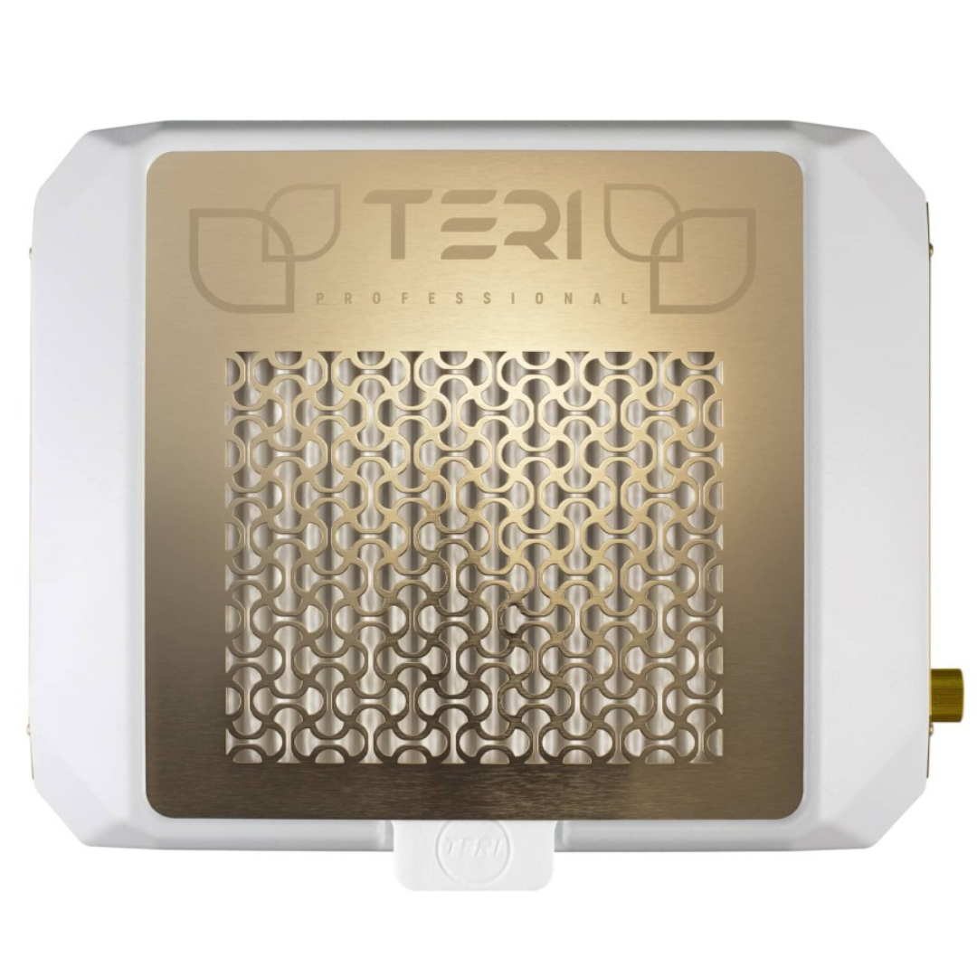 Aspirador Profesional Teri Diamond BLANCO 90W 💨✨NEW