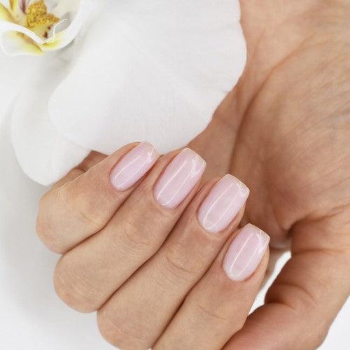 Rosy Brown MAJIDA BASE ULTRA STRONG MILK 15 ml