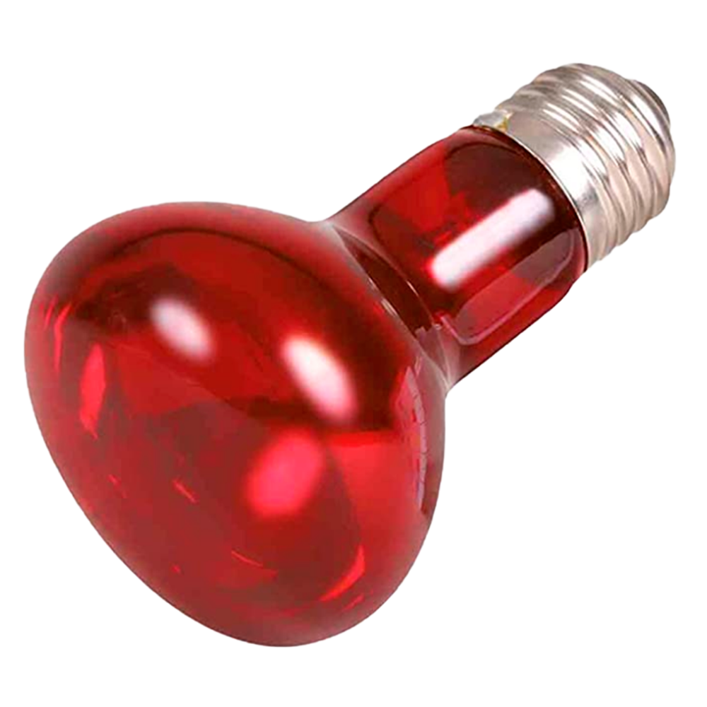 Bombilla de Calor con Luz Roja de 50W - Casquillo E27 para Tratamiento IBX System