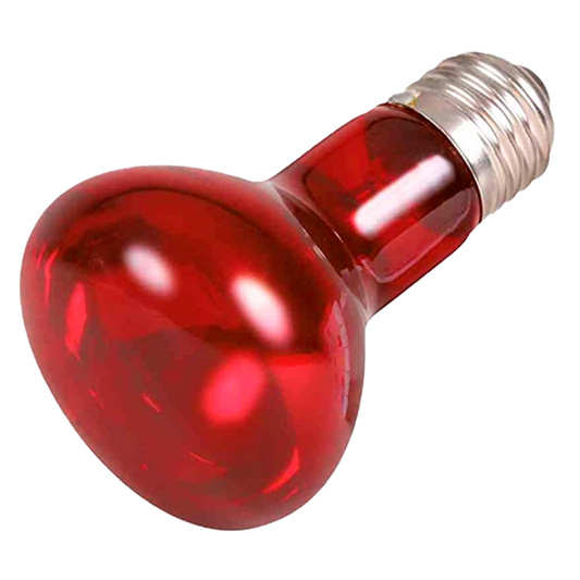 Bombilla de Calor con Luz Roja de 50W - Casquillo E27 para Tratamiento IBX System