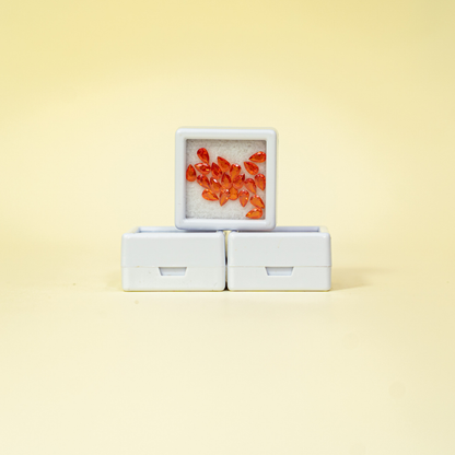 Set de Mini Cristales  Claumy®️ para Decoración de Uñas - 20 unidades