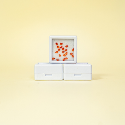 Set de Mini Cristales  Claumy®️ para Decoración de Uñas - 20 unidades