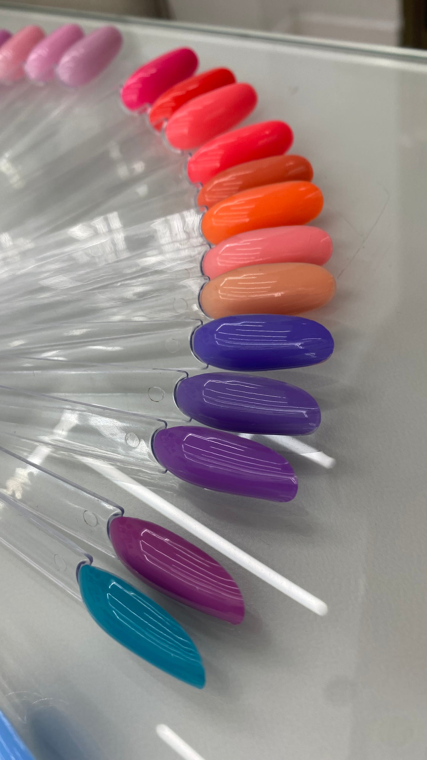 Paleta Completa de Esmaltes